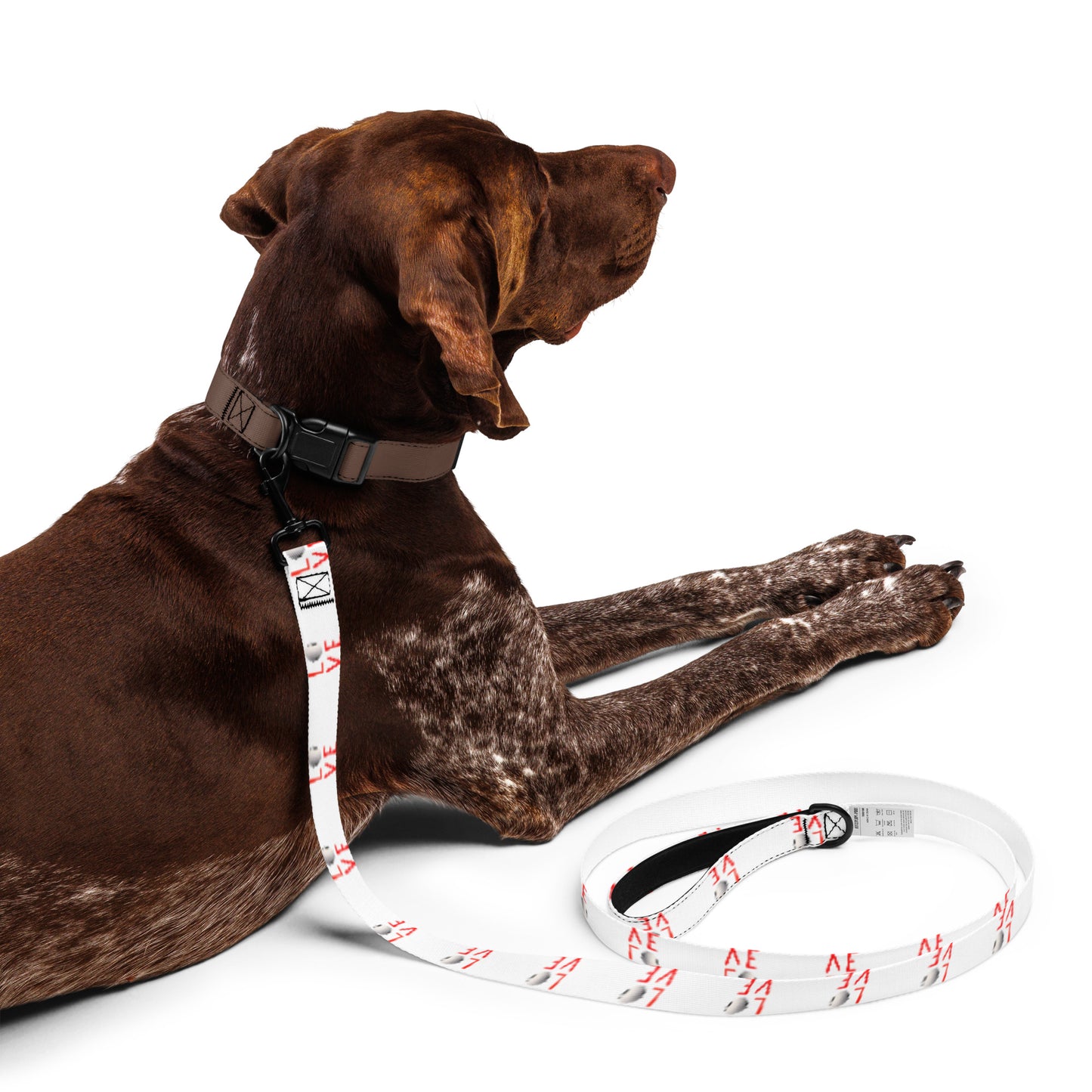 Tarc Pet Leash - 6ft | Durable & Comfortable Leash